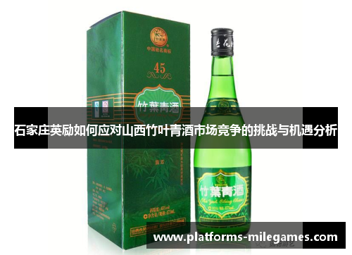 石家庄英励如何应对山西竹叶青酒市场竞争的挑战与机遇分析